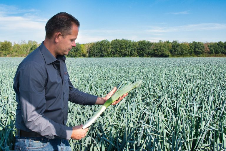 Boer met prei in veld