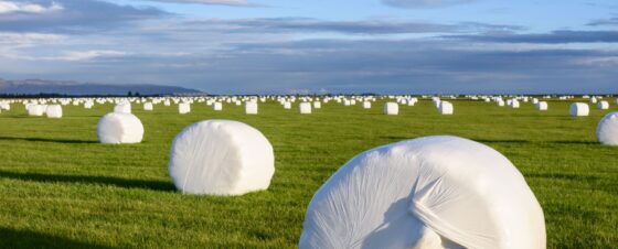 Istockphoto 827832522 2048x2048 1 E1764941321821 560x226