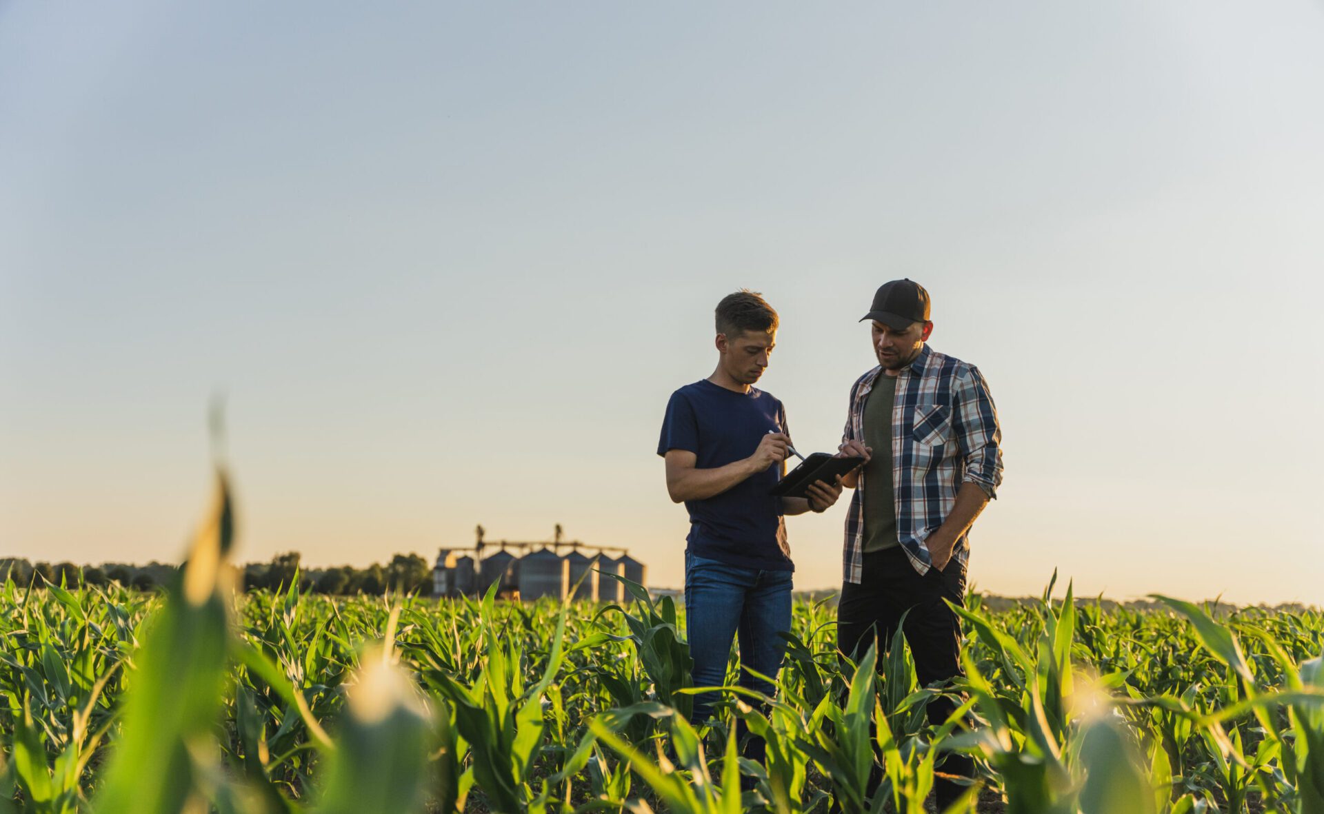 male farmer and agronomist using digital tablet while standing in corn field against sky