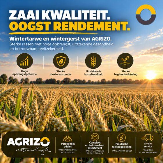 agrizo wintergraan 2026
